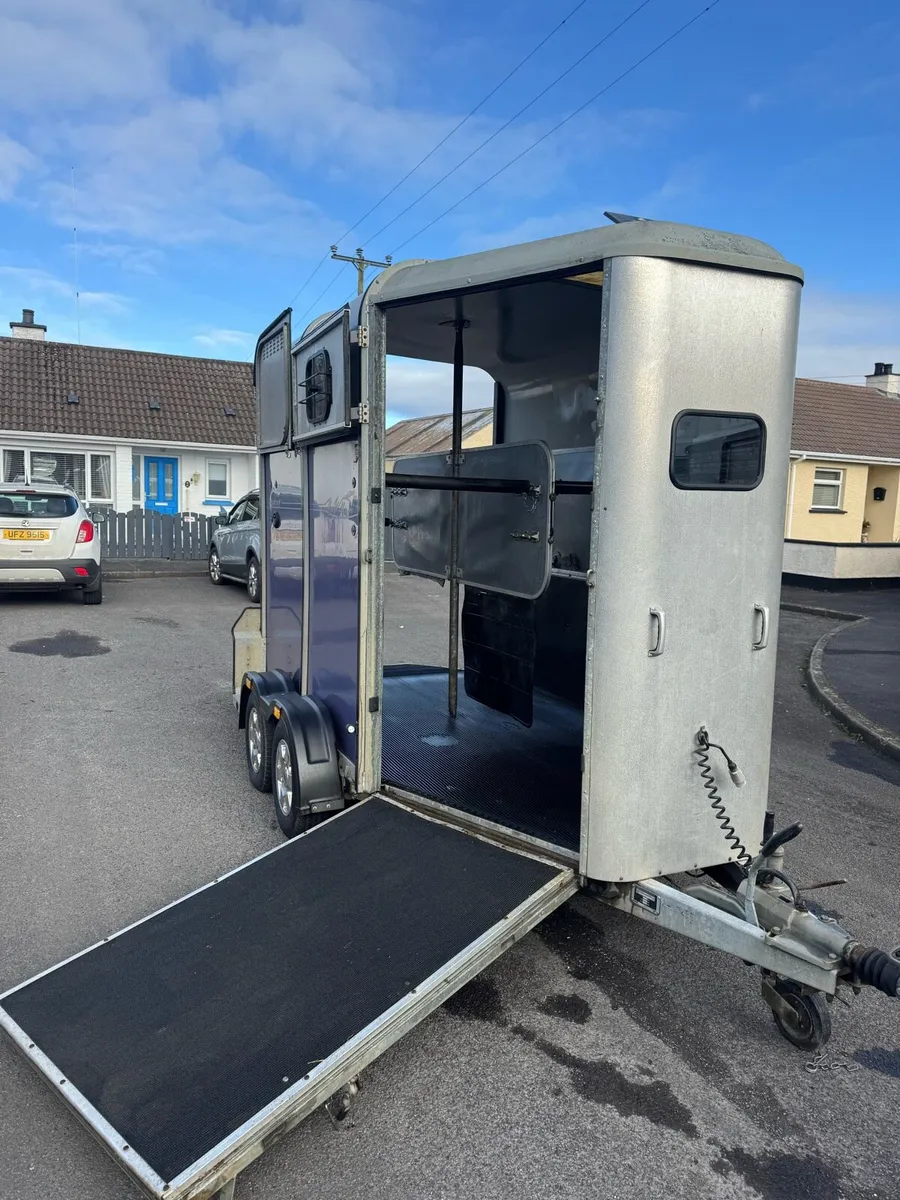 Ifor William 505 Classic Limited Edition - Image 3