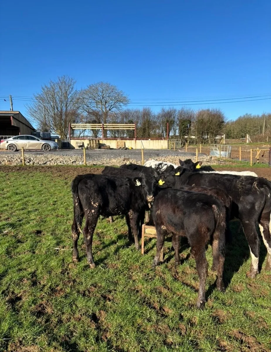 9 smashing runners for sale 🔥 - Image 1