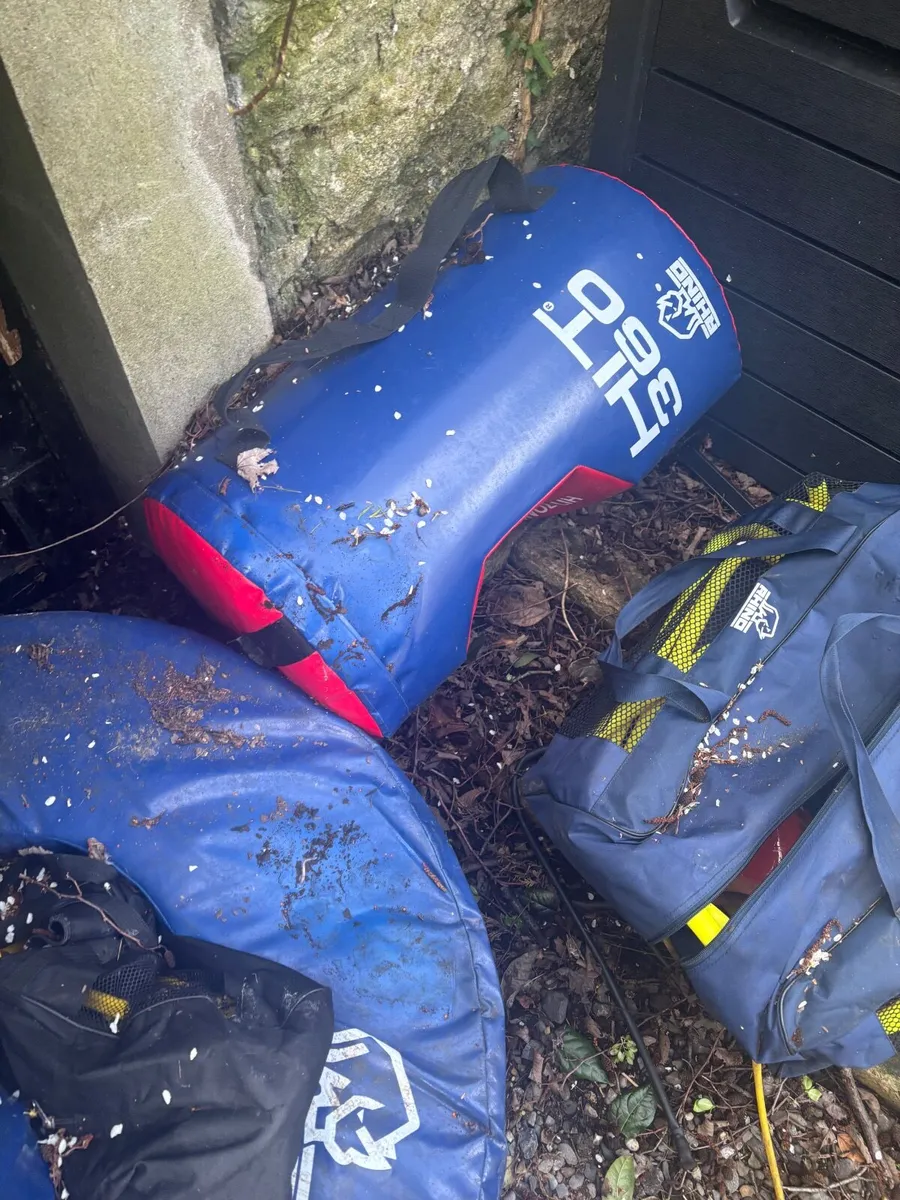 Rugby training equipment - Image 2