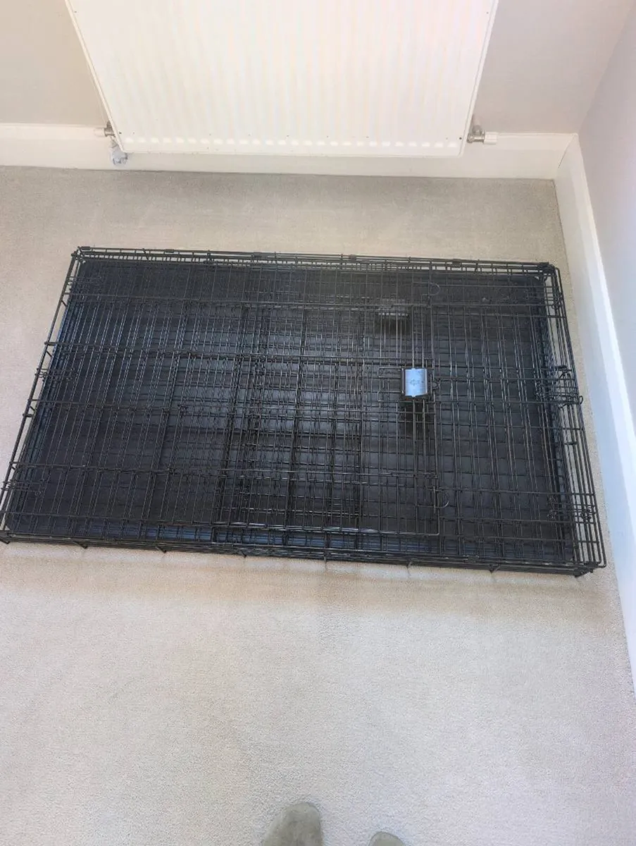 Extra Large Dog Create - Image 2