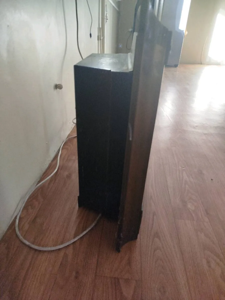 Electric fire - Image 2