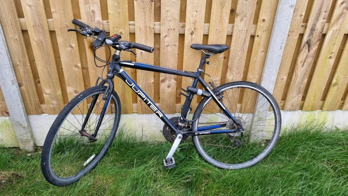 Adult Bike – Light, Bell & Lock Included