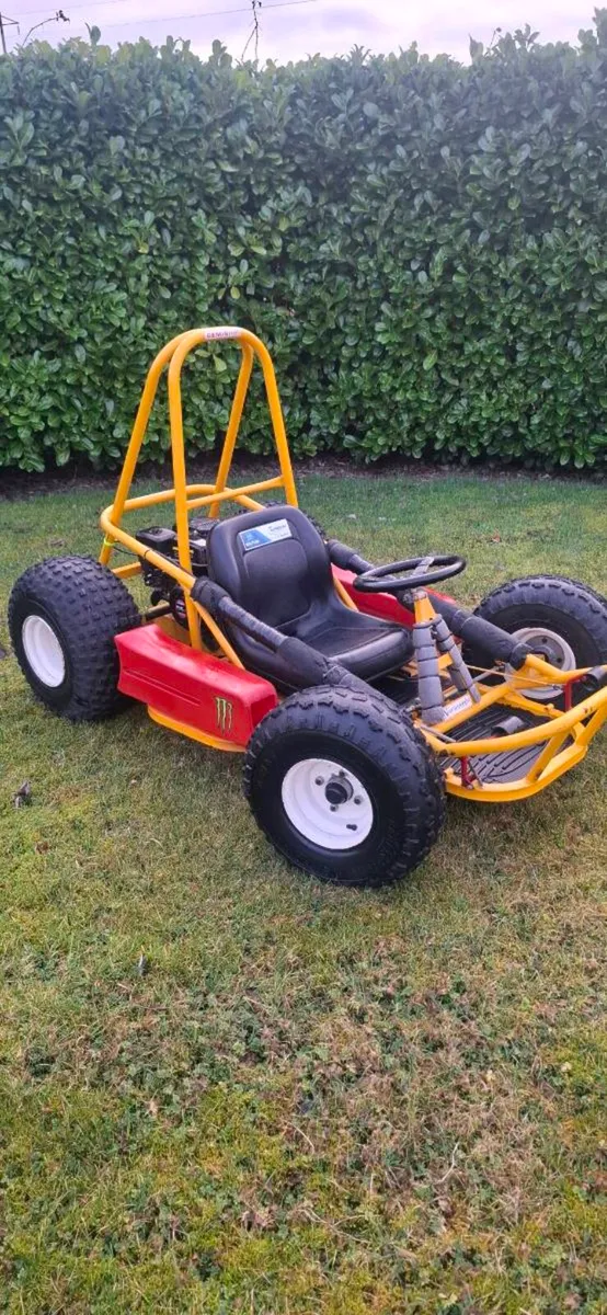 Gemini navigator Go kart - Image 1
