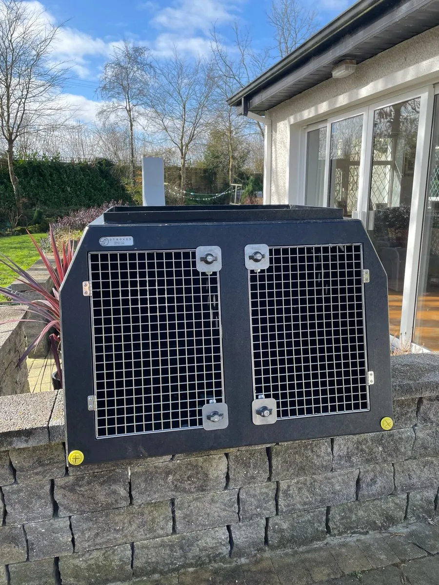 DT Boxes Double Dog Box – Excellent Condition - Image 1