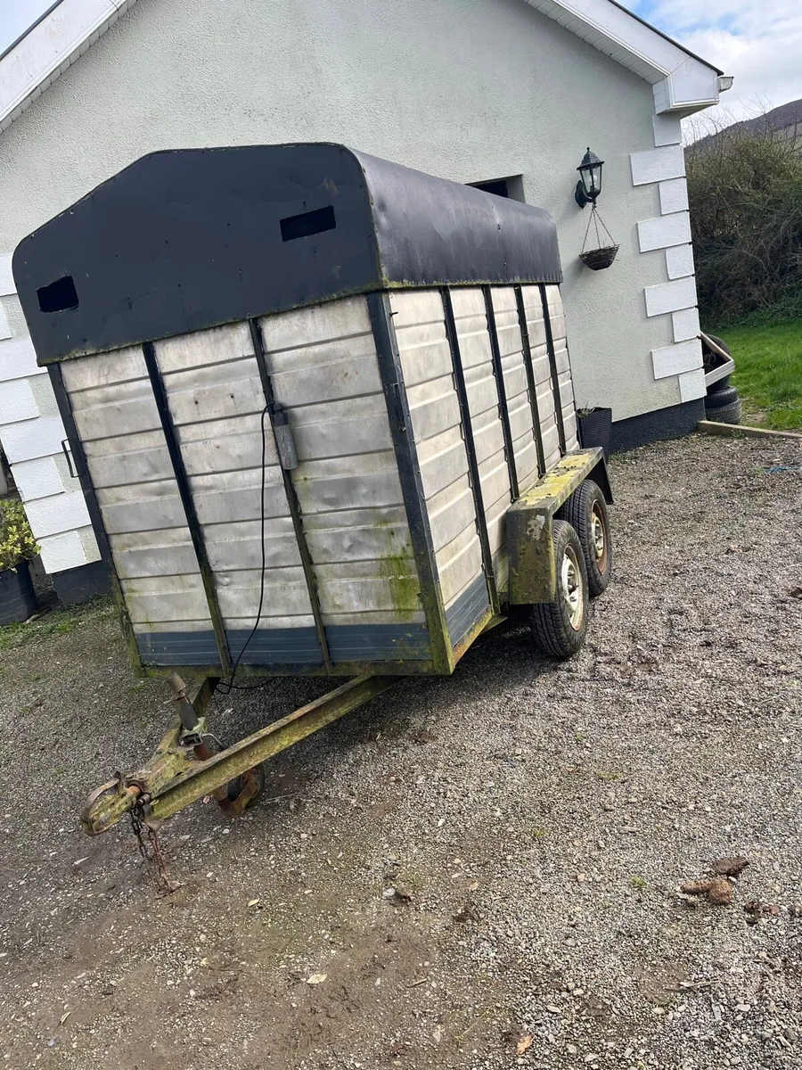 Cow/sheep box value for money - Image 1