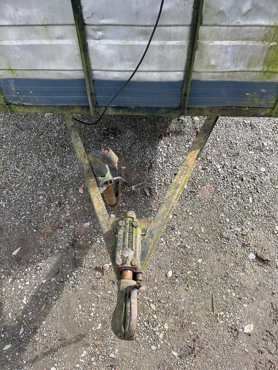 Cow/sheep box value for money - Image 2