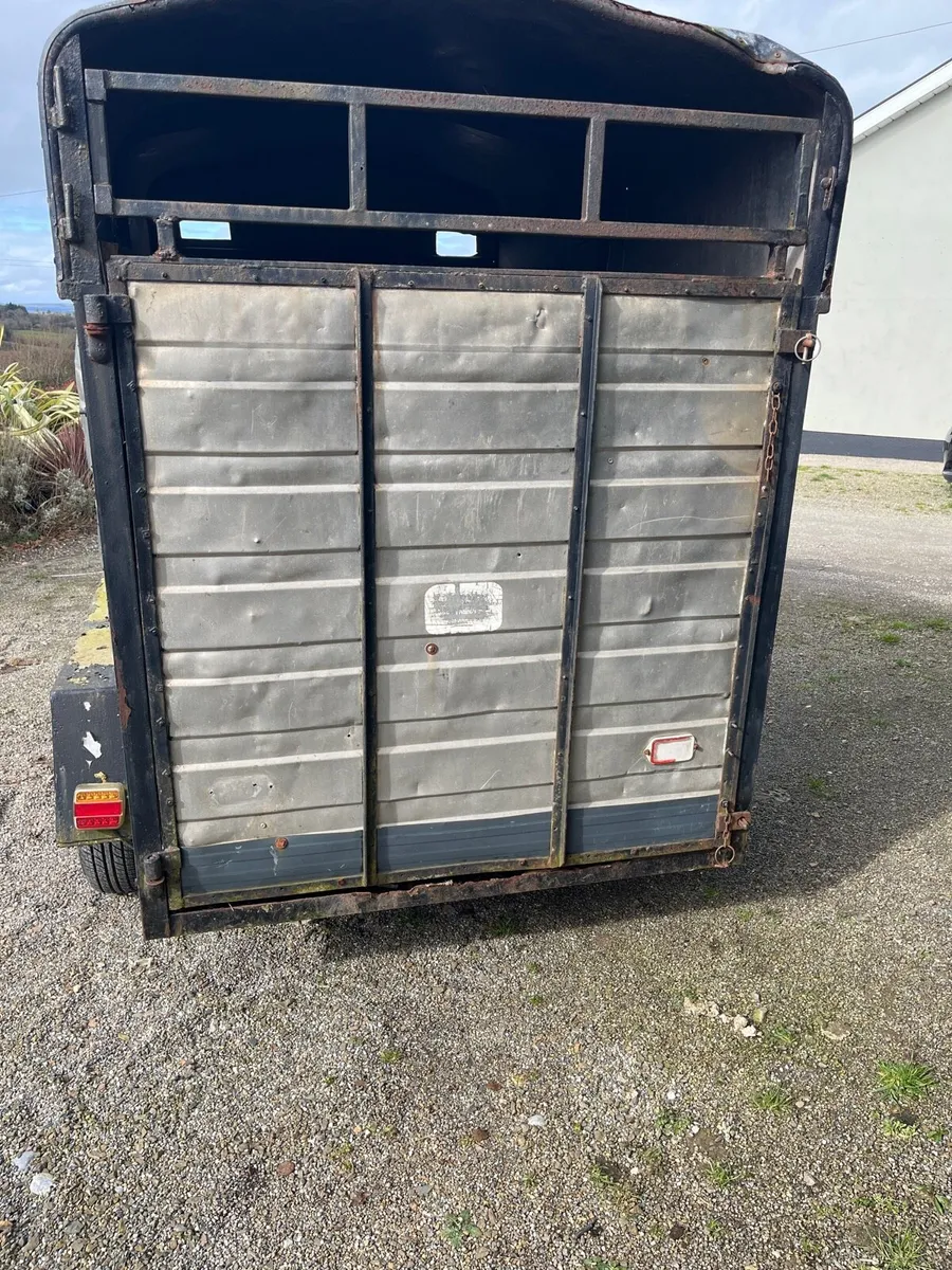 Cow/sheep box value for money - Image 3