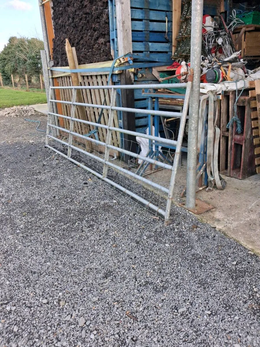 Dog trailer dog run - Image 1