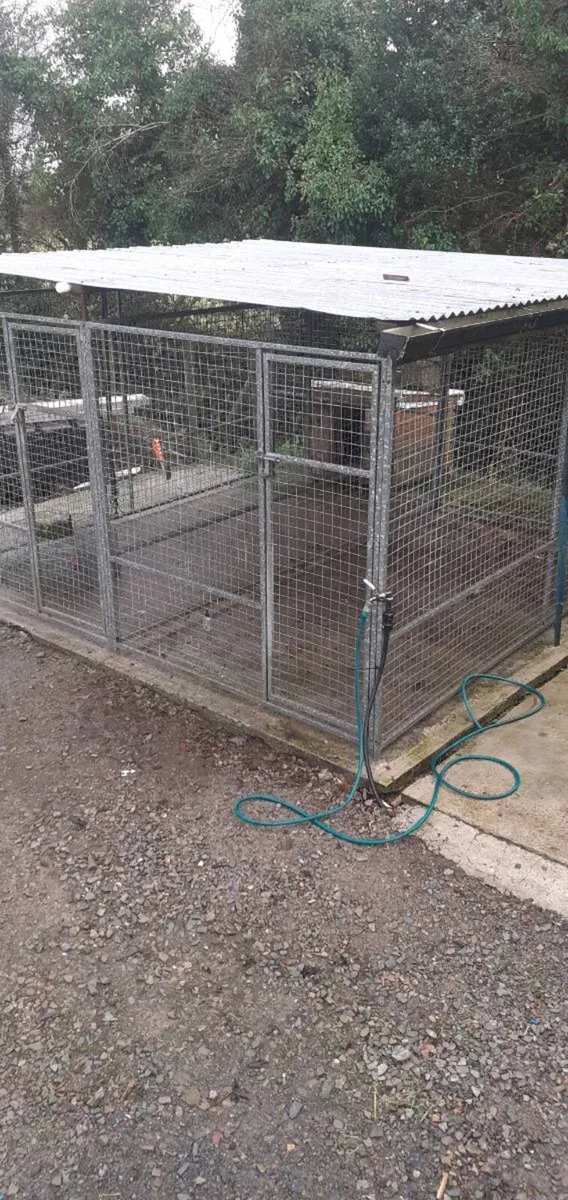 DOG RUN/ DOG KENNEL - Image 4