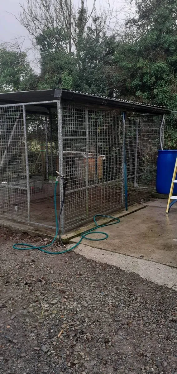 DOG RUN/ DOG KENNEL - Image 1