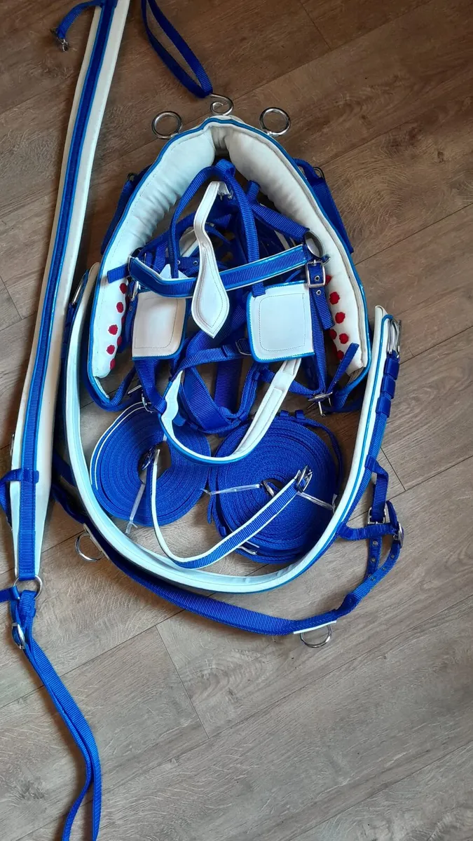 Full size single horse harness
