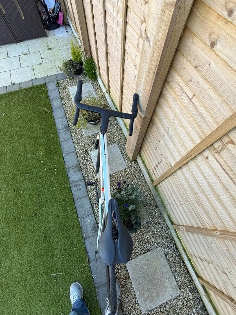 Canyon CF7 - Image 4