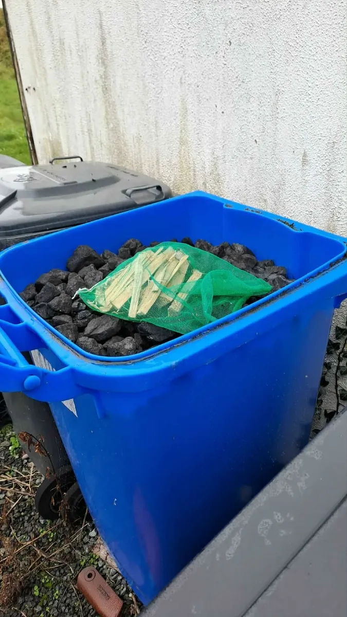 Ordinary coal - Image 1