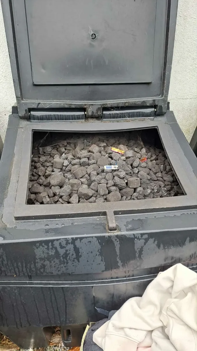 Ordinary coal - Image 2