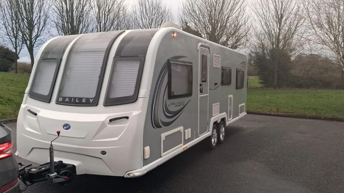 Bailey pegagsus - Image 1