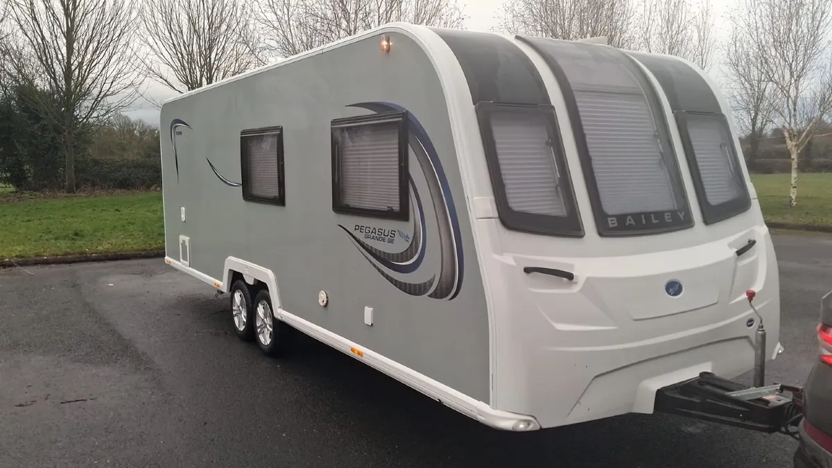 Bailey pegagsus - Image 3