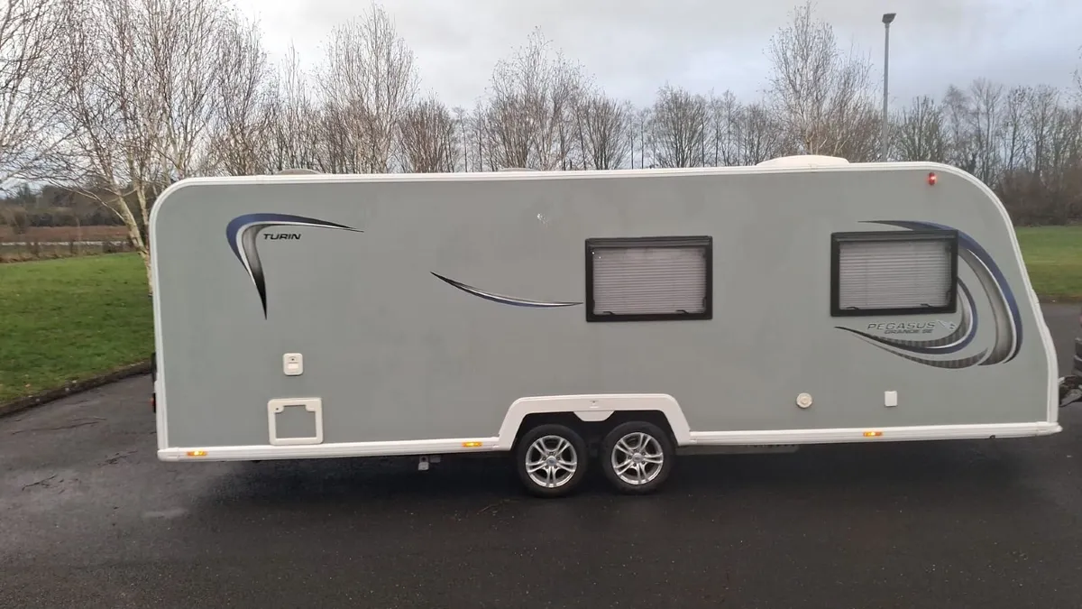 Bailey pegagsus - Image 4