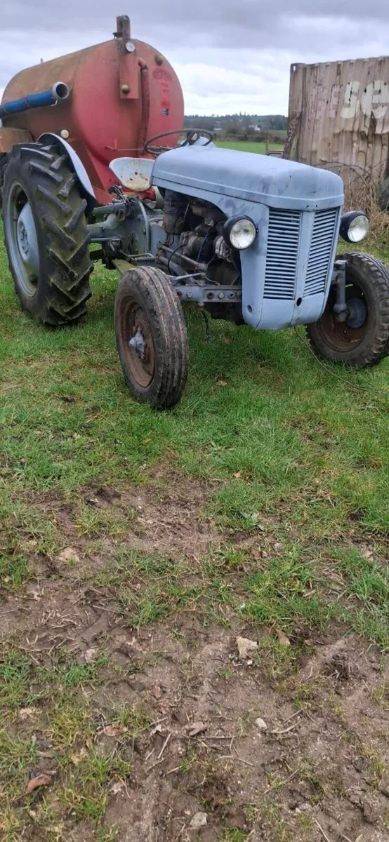 Ferguson 20 - Image 2