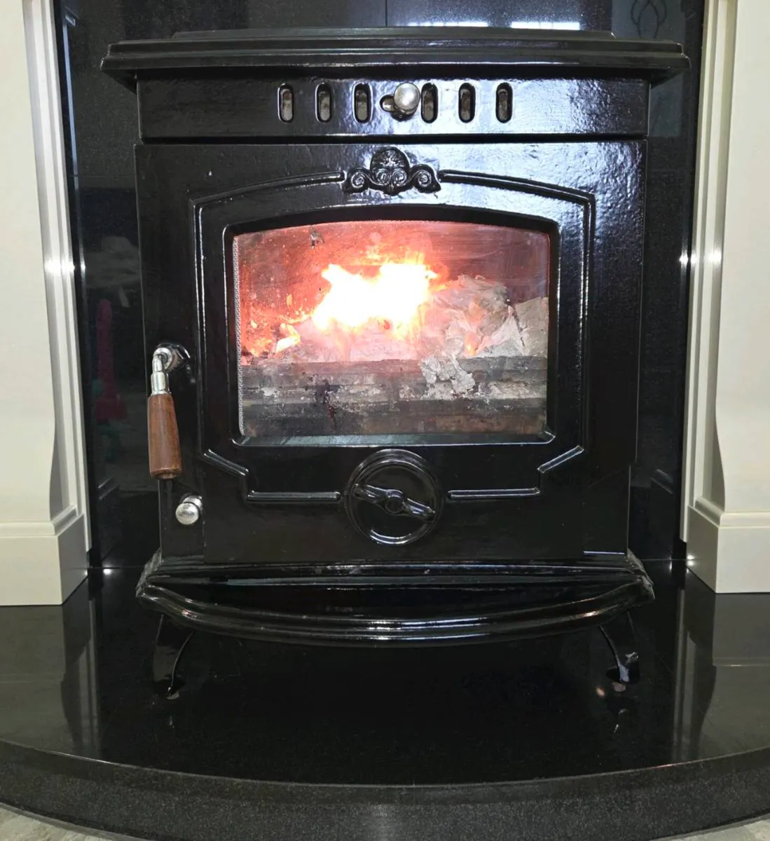 Stove with back boiler