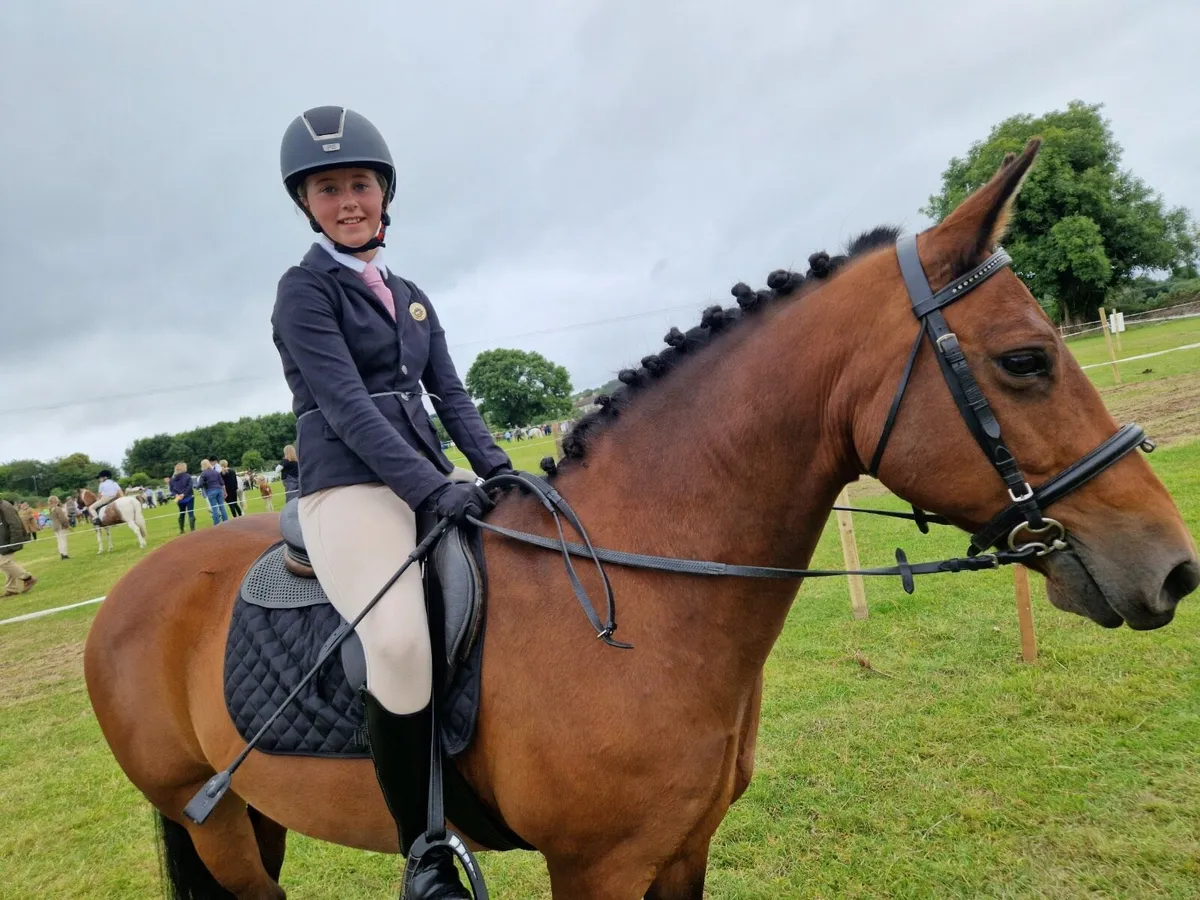 13,2’ Silver Shadow X Mare - Image 1