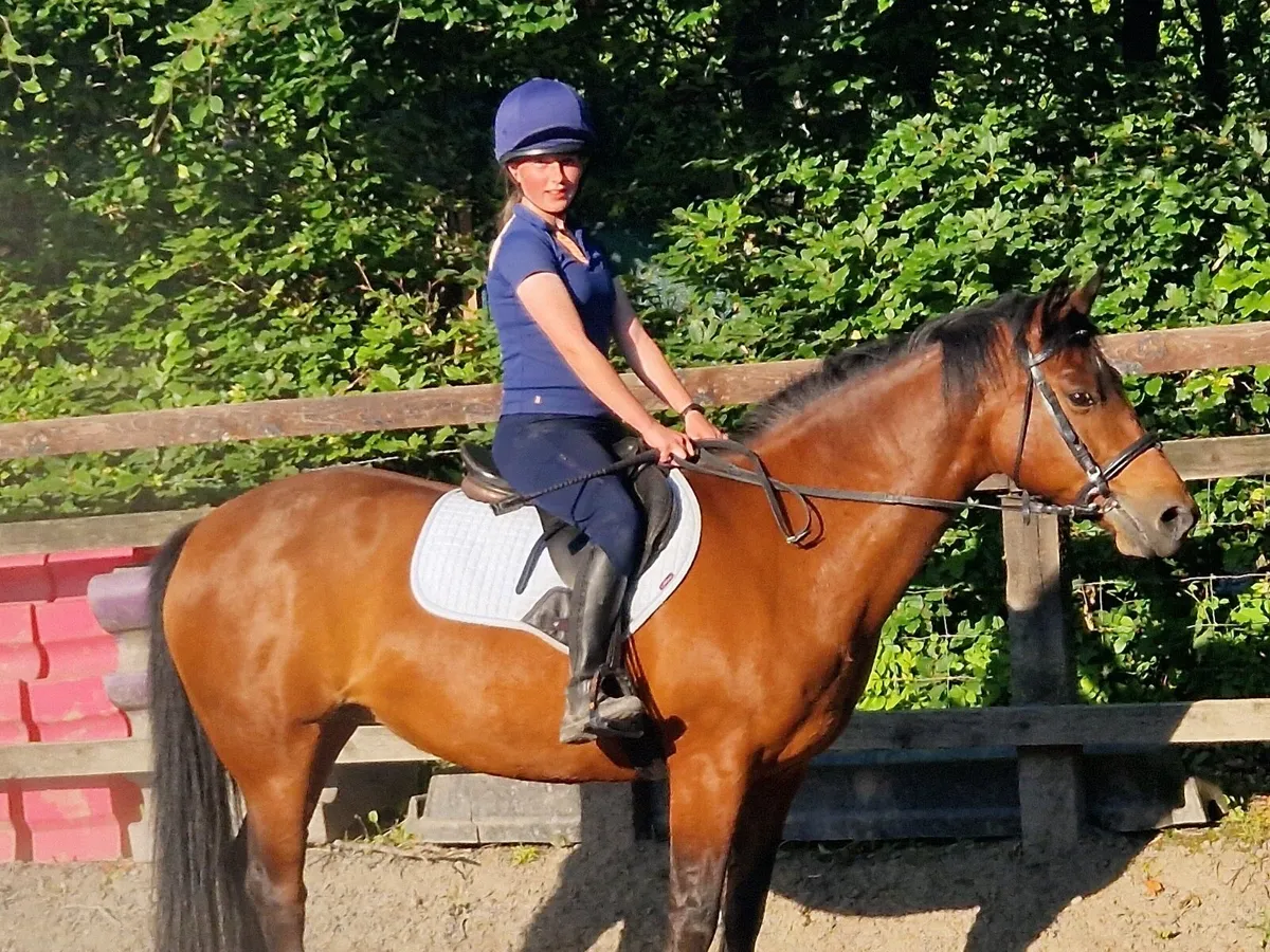 13,2’ Silver Shadow X Mare - Image 2