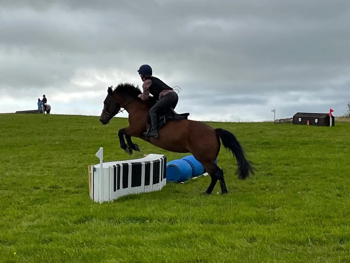 13,2’ Silver Shadow X Mare - Image 4