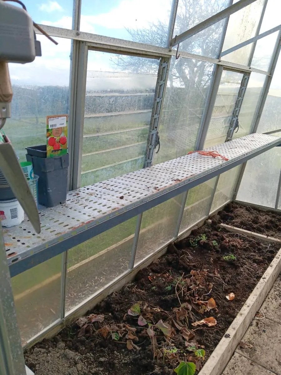 Greenhouses - Image 4