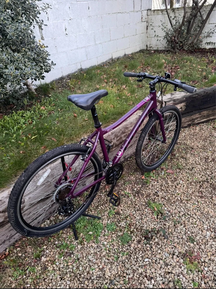 Carrera Axle mountain bike - Image 3