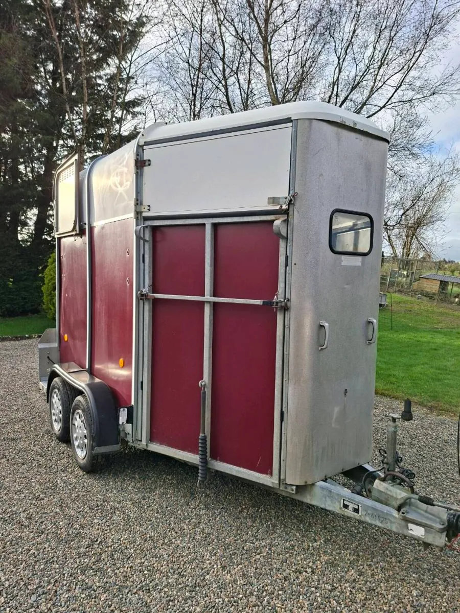 Ifor Williams 505 Double Horsebox - Image 2