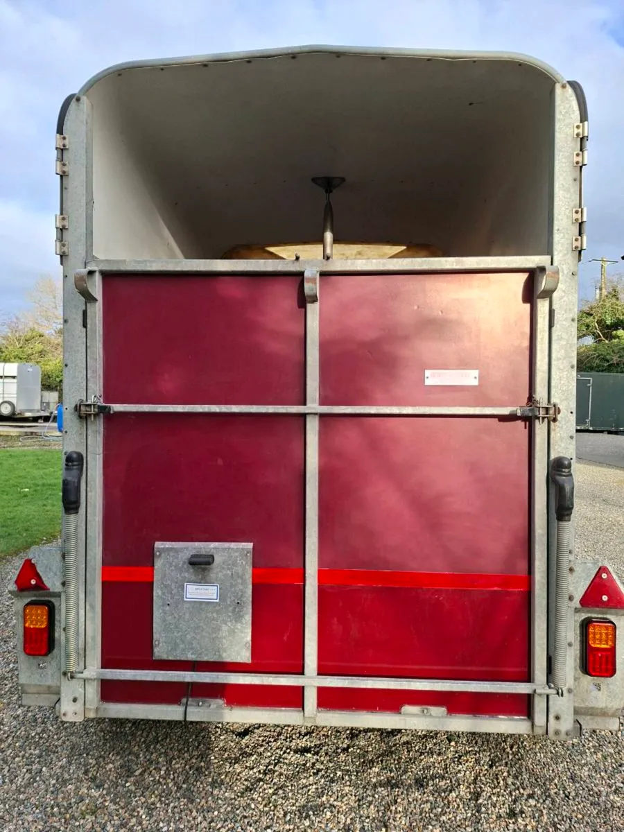Ifor Williams 505 Double Horsebox - Image 4