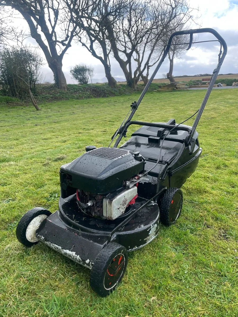 Push Lawnmower Briggs and Straton - Image 2