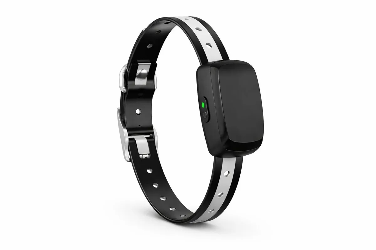 Boundary Collar / Invisible Pet Fence - Image 4