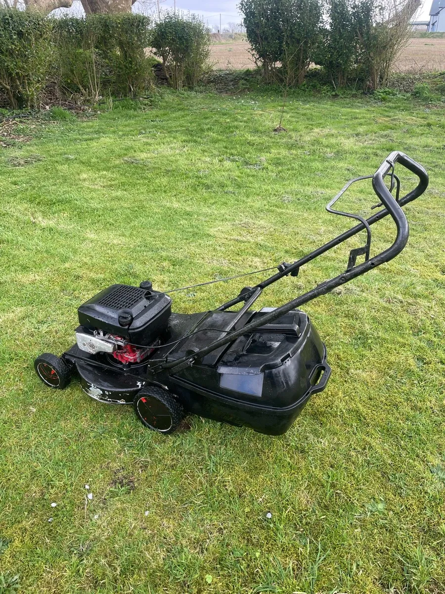 Push Lawnmower Briggs and Straton - Image 1