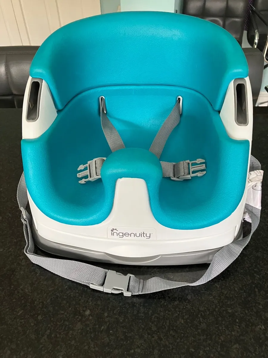Ingenuity Baby Base 2-in-1 - Image 1