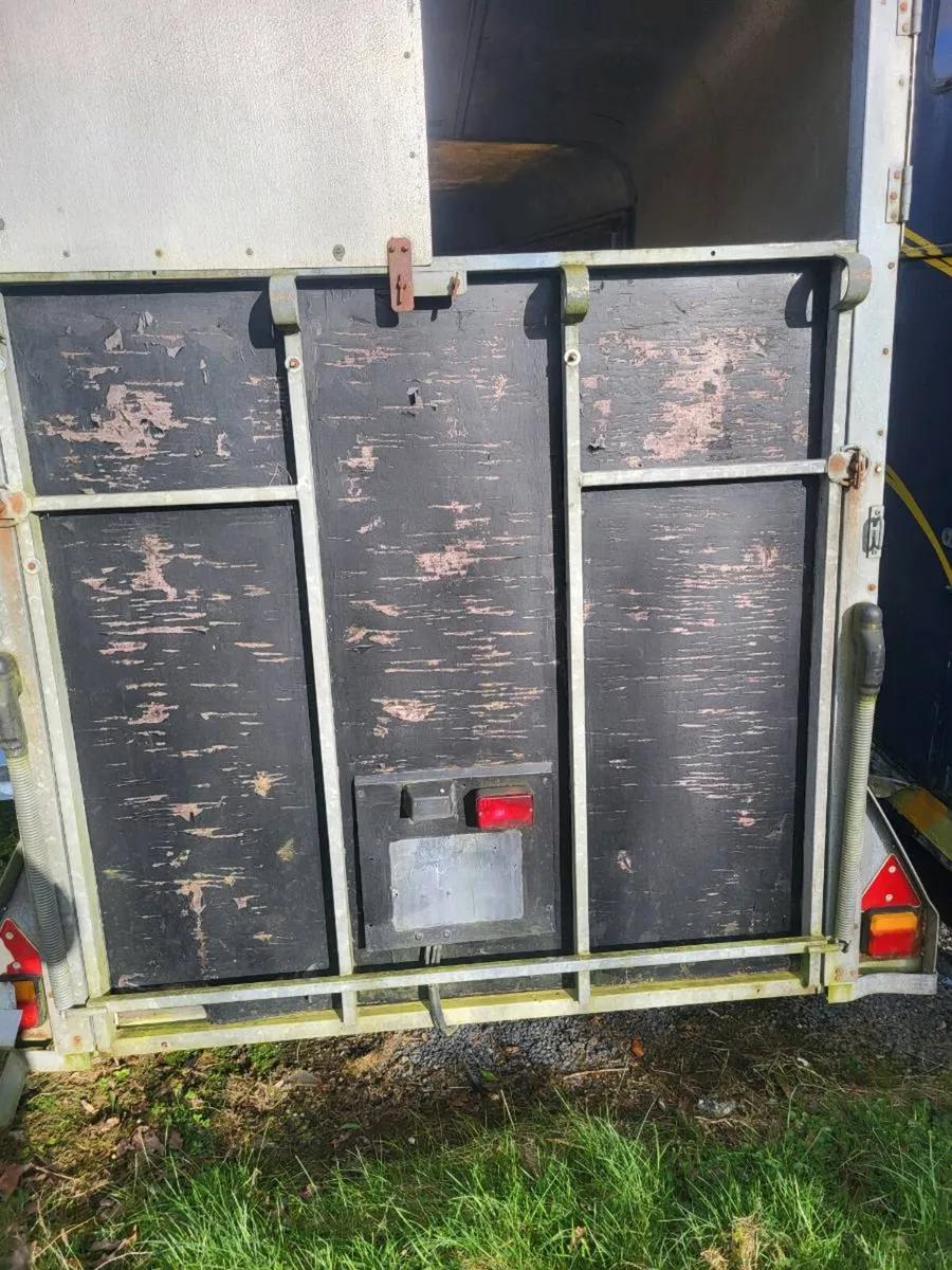 Horsebox project - Image 2