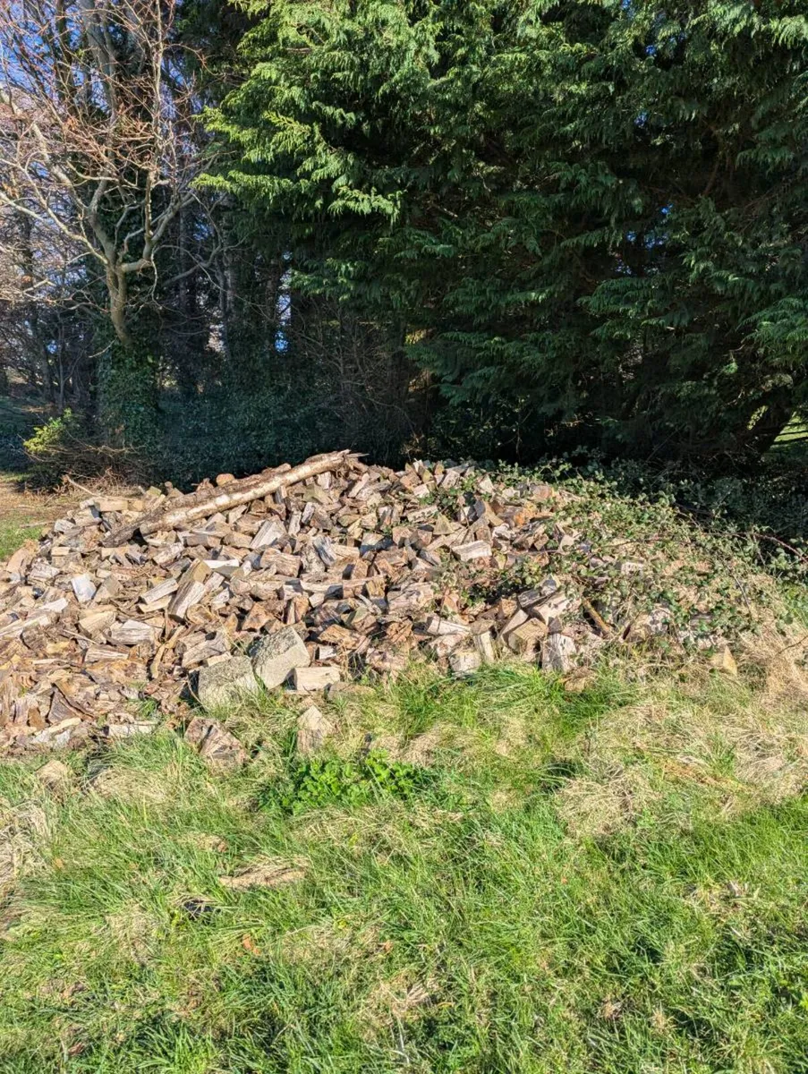 Firewood - Image 1