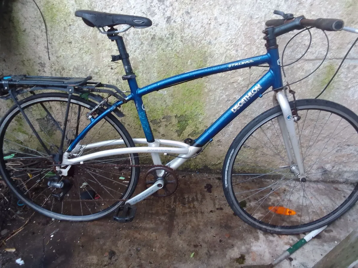 adult bike for sale