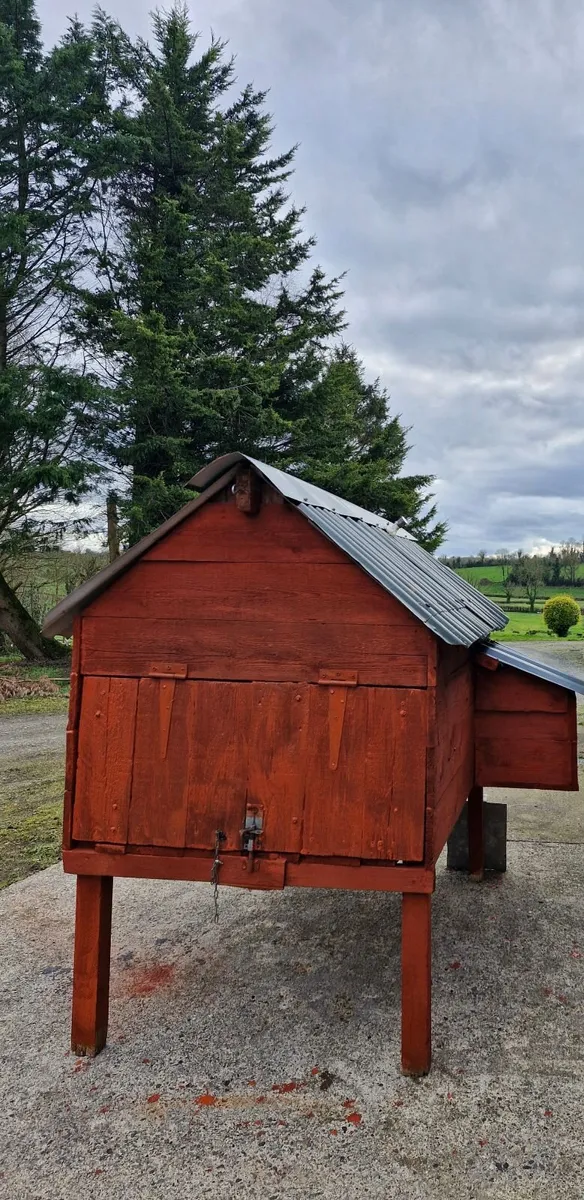 Chicken & Hen Coop - Image 2