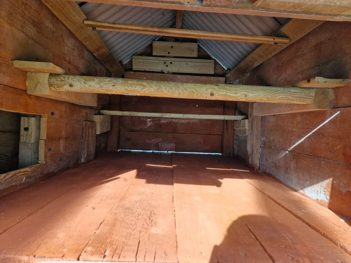 Chicken & Hen Coop - Image 3