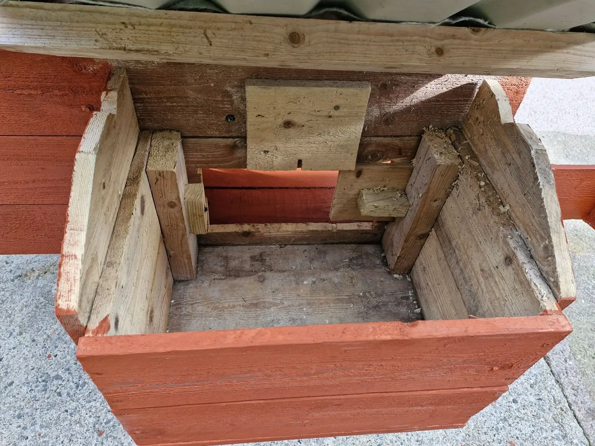 Chicken & Hen Coop - Image 4