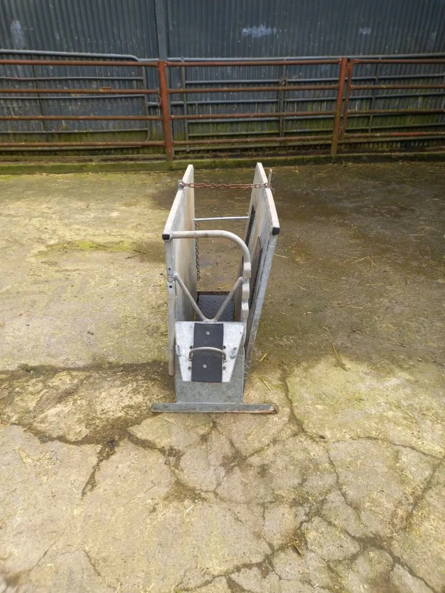 Dehorning crate - Image 1