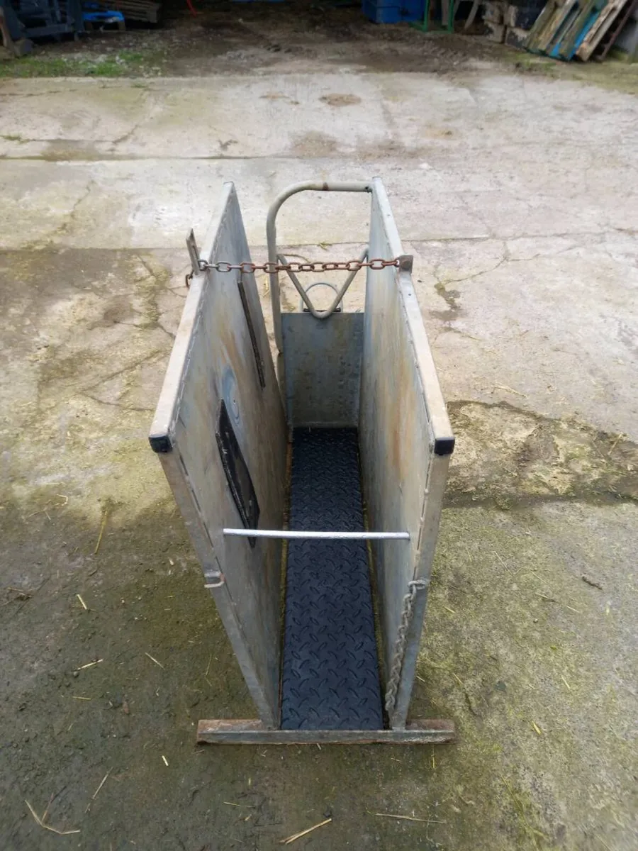 Dehorning crate - Image 3