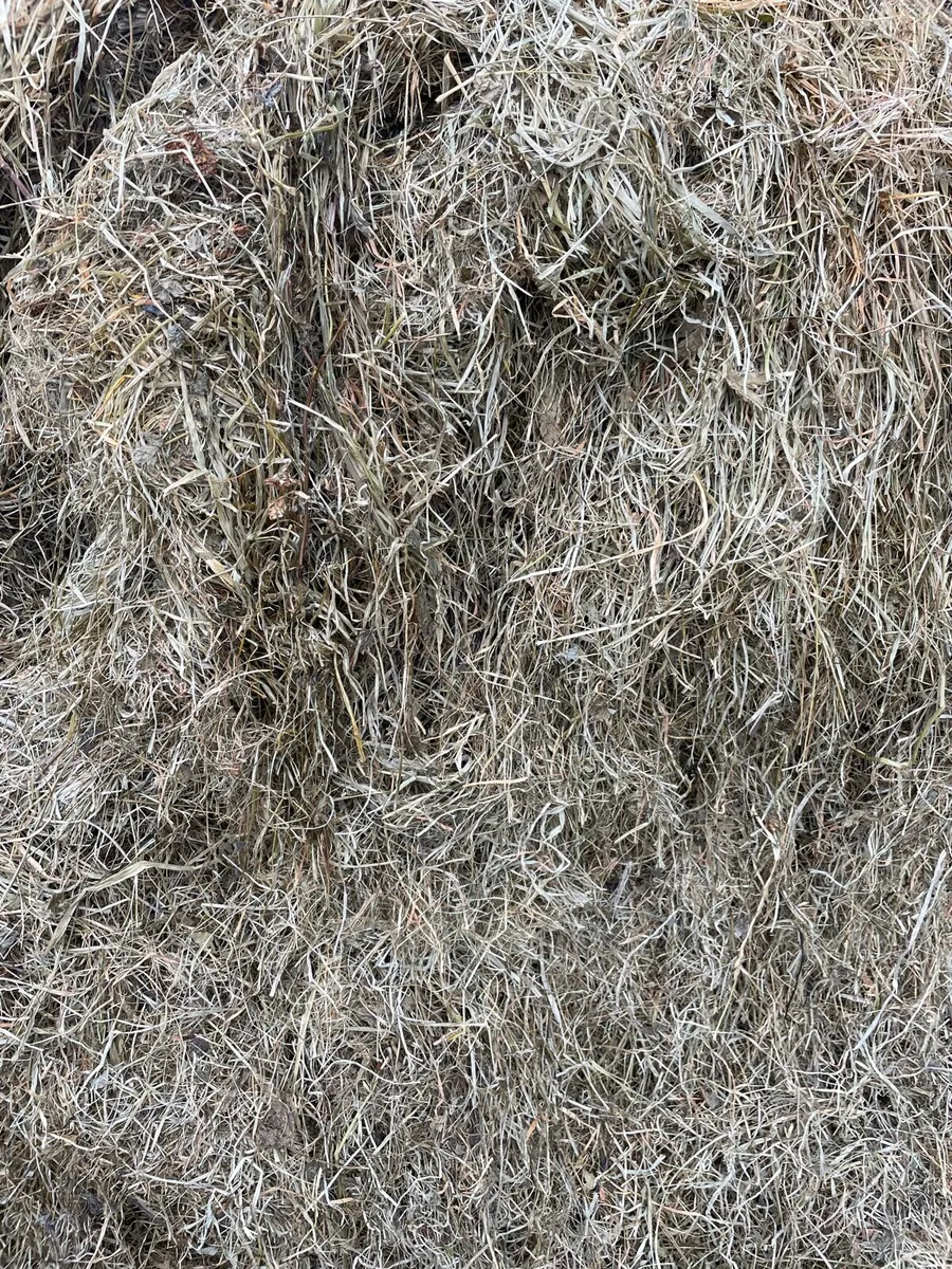 Red clover Organic silage Ballynacargy - Image 3