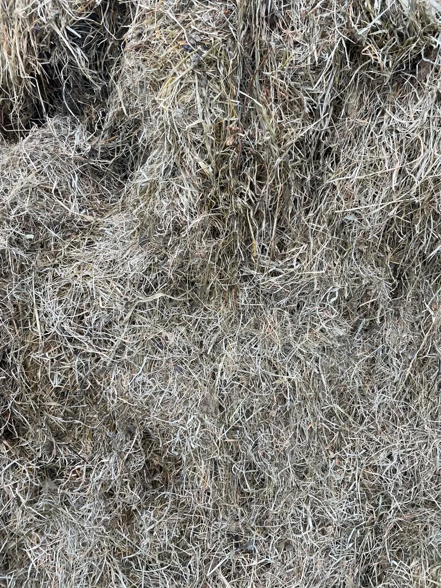 Red clover Organic silage Ballynacargy - Image 2