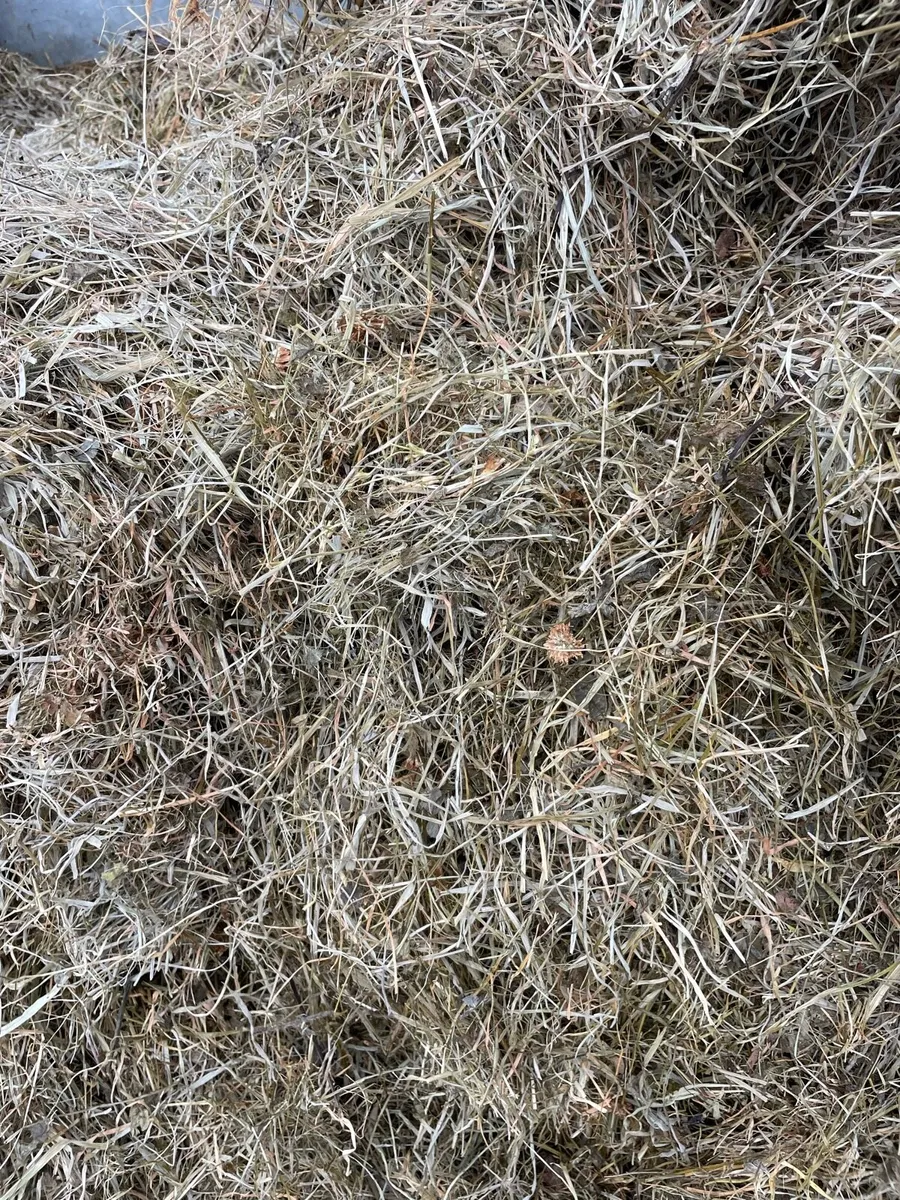 Red clover Organic silage Ballynacargy - Image 4