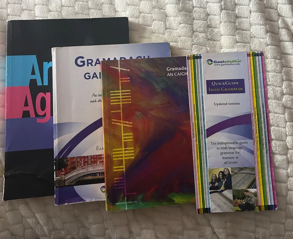 Irish Grammar Books