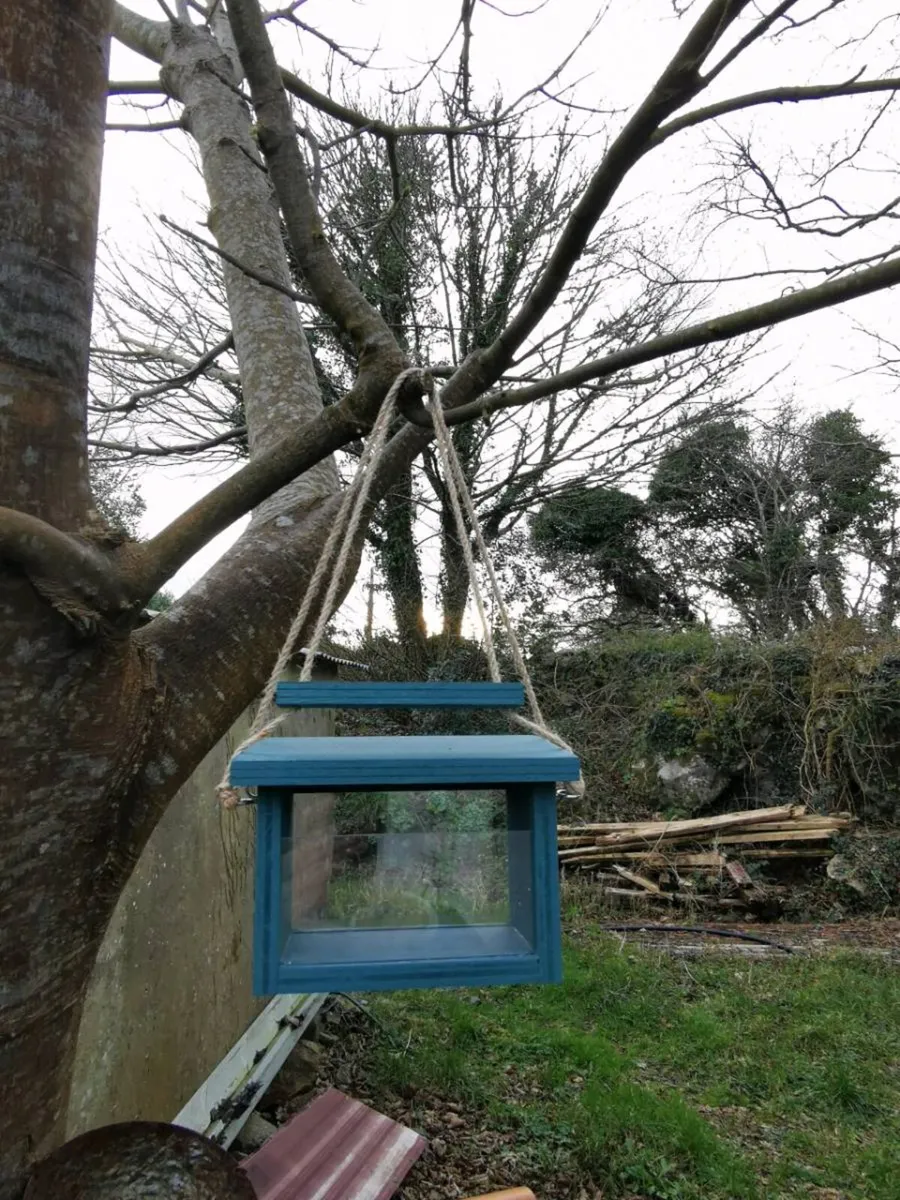 Small‑Bird Feeder - Image 2