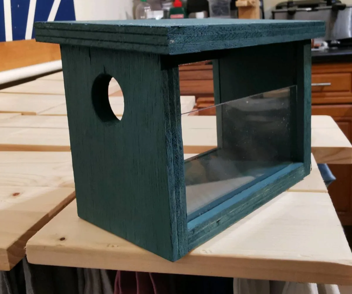 Small‑Bird Feeder - Image 3