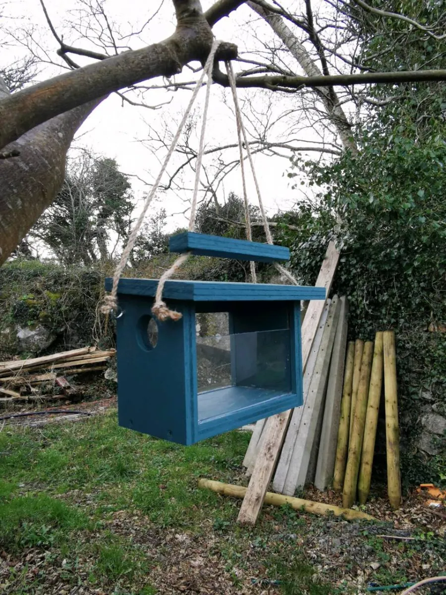 Small‑Bird Feeder - Image 1