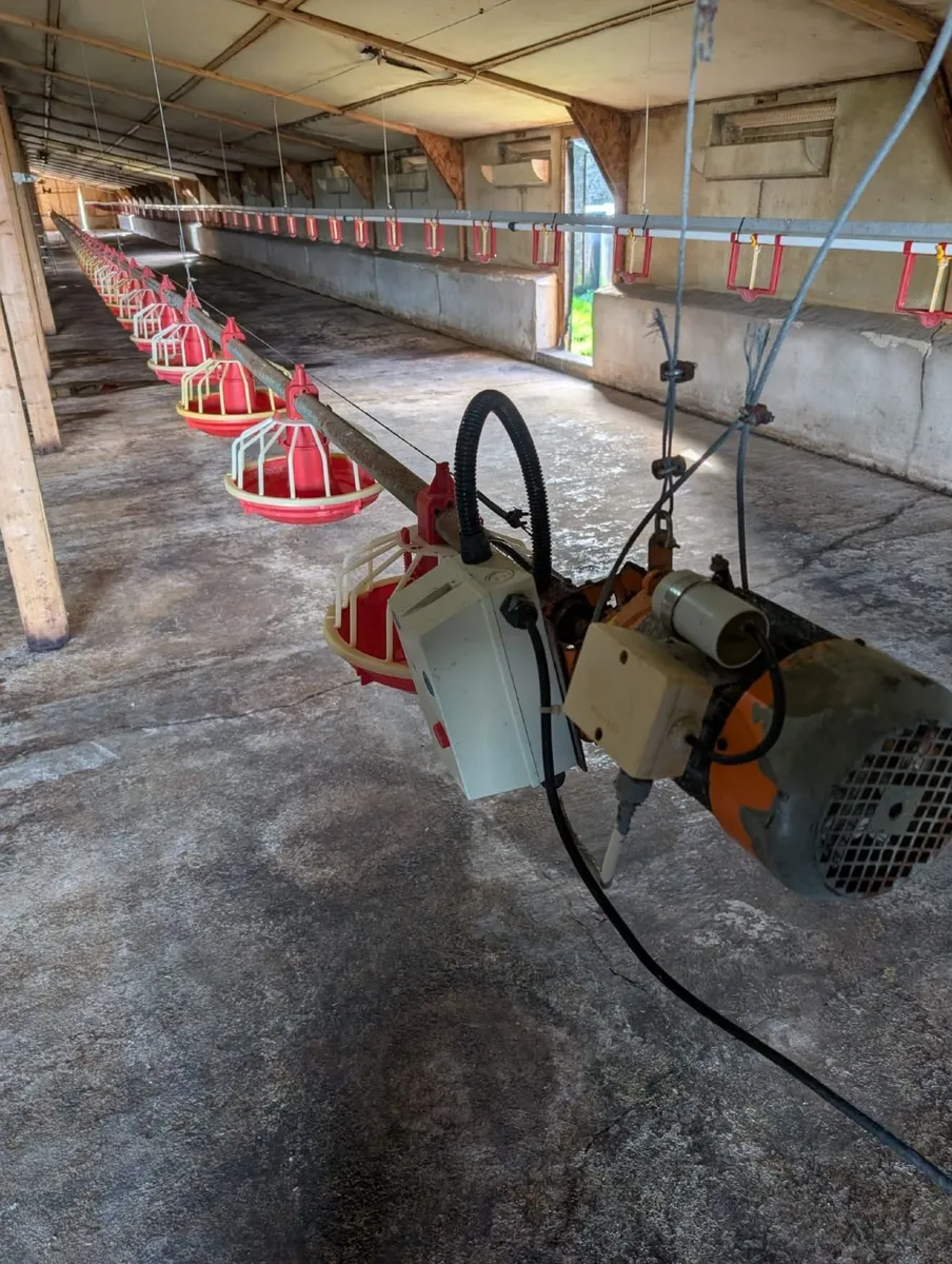 Poultry feeders - Image 2